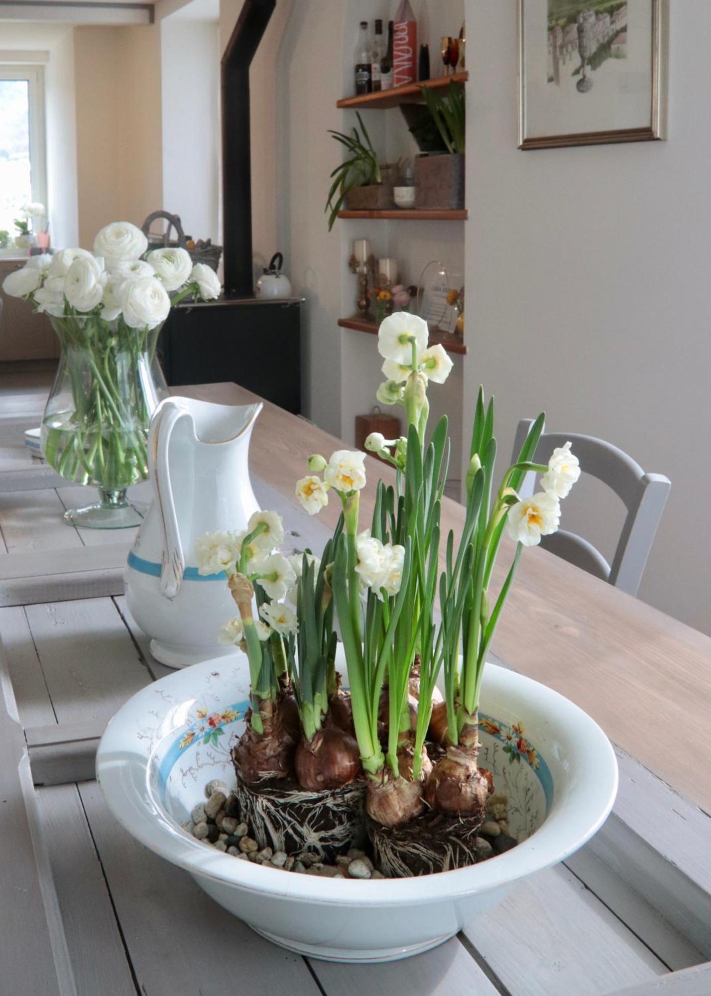 Casa Viola Bed And Breakfast Dimora Di Campagna Calice Ligure Buitenkant foto